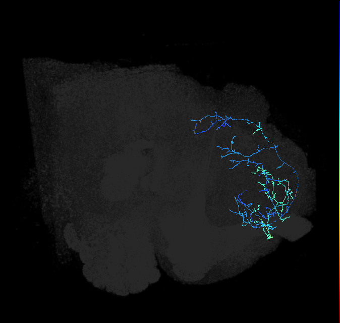 ADL18e_pct_R