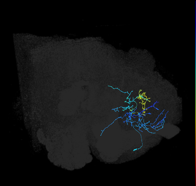 ADL27g_pct_R