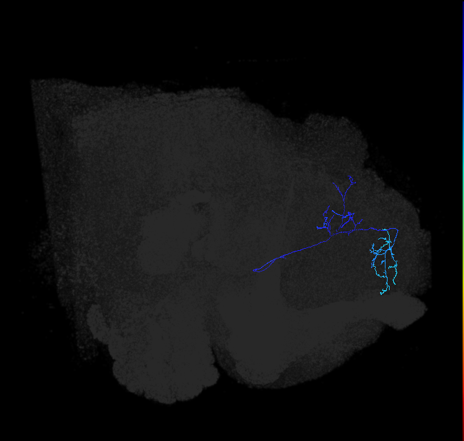 ADL11c_c_pct_R
