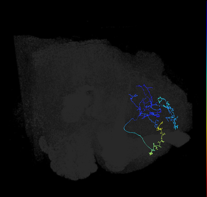 ADL15g_e_pct_R