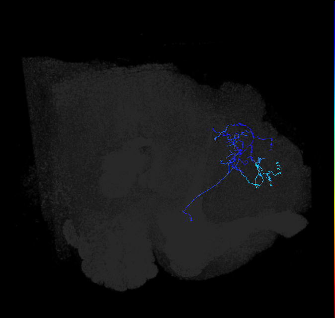ADL13n_c_pct_R