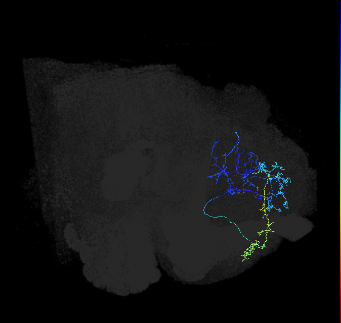 ADL15g_e_pct_R