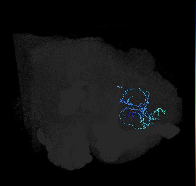 ADL03ob_pct_R