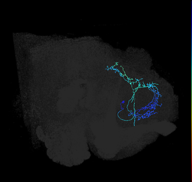 ADL02ls_pct_R