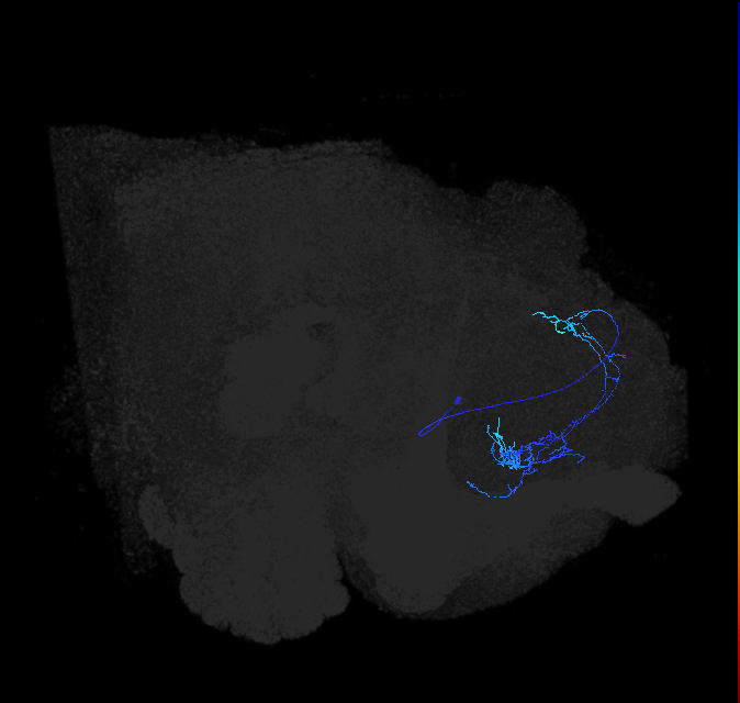 ADL07h_pct_R