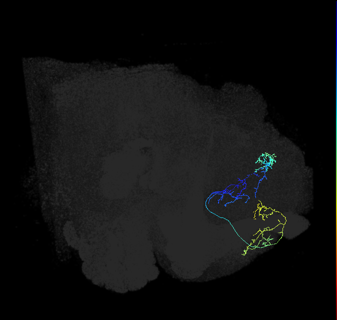 ADL15g_a_pct_R