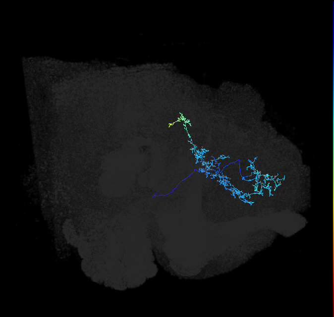 ADL04h_pct_R
