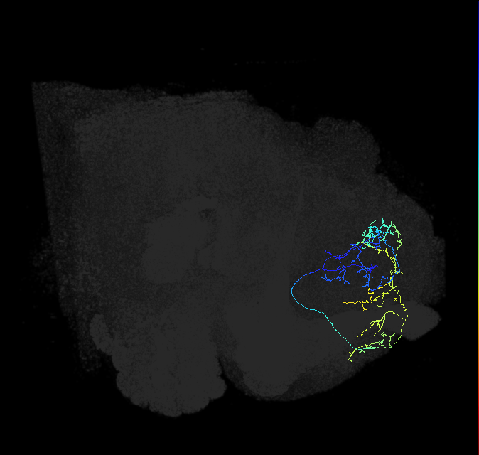 ADL15g_a_pct_R