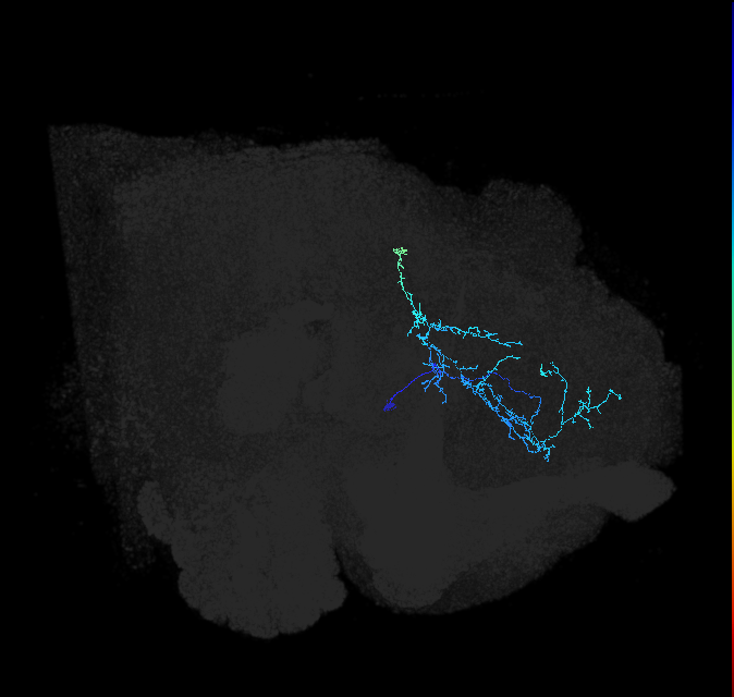 ADL04h_pct_R