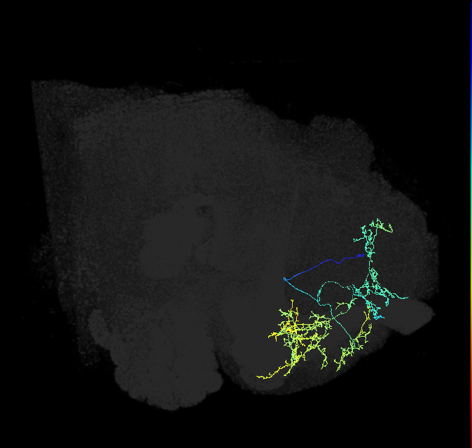 ADL15c_pct_R