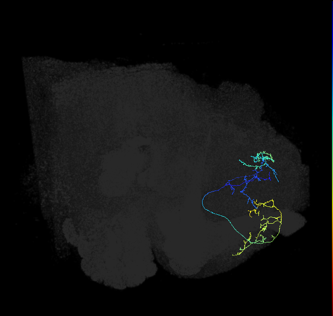 ADL15g_a_pct_R
