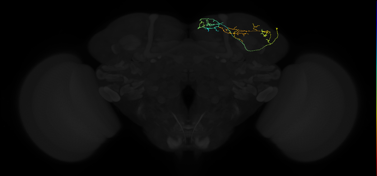 ADL15g_a_pct_R