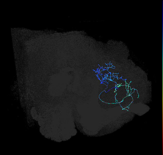 ADL02lk_pct_R
