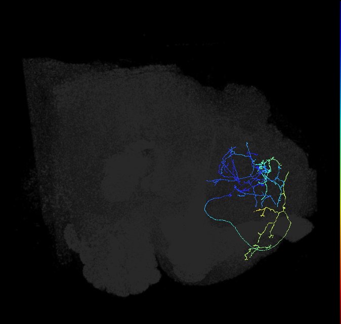 ADL15g_f_pct_R
