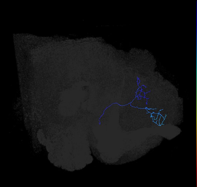 ADL22d_c_pct_R