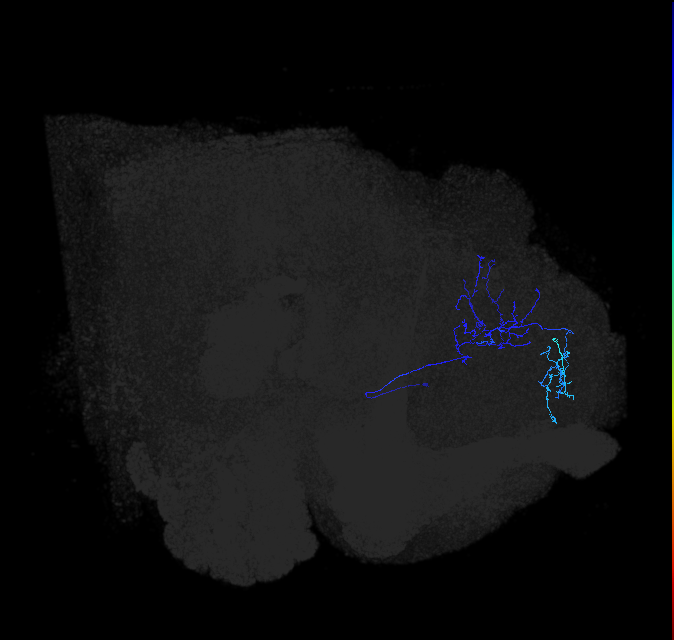 ADL11c_b_pct_R