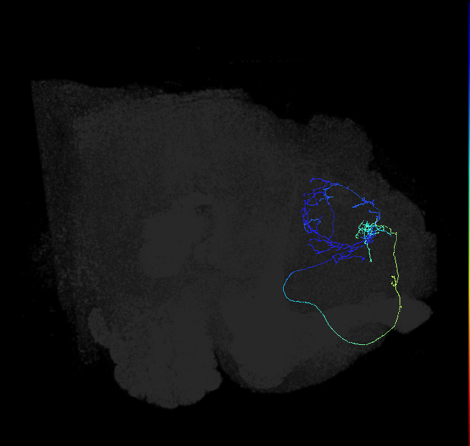 ADL15j_pct_R