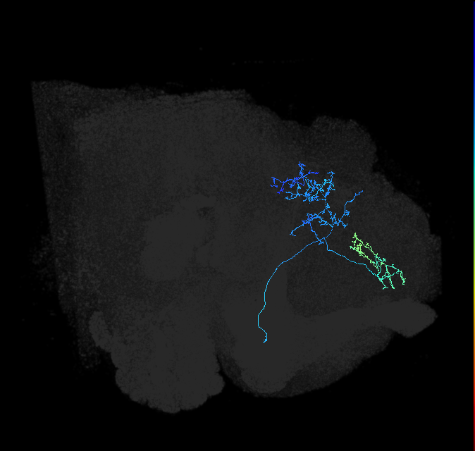 ADL19oa_pct_R