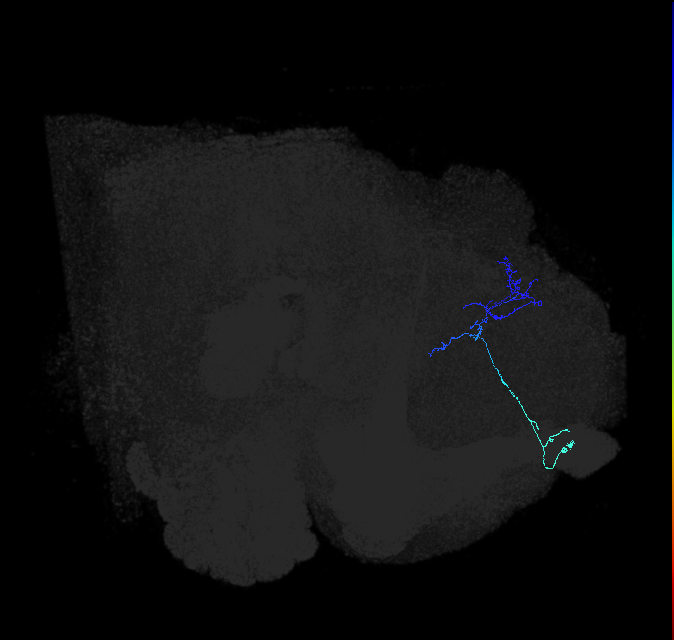 ADL17g_b_pct_R