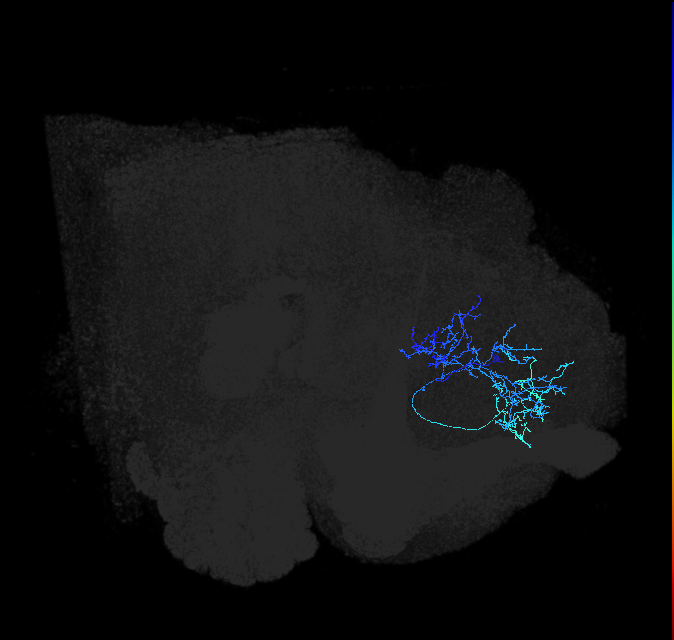 ADL02on_pct(pSP3a)_R