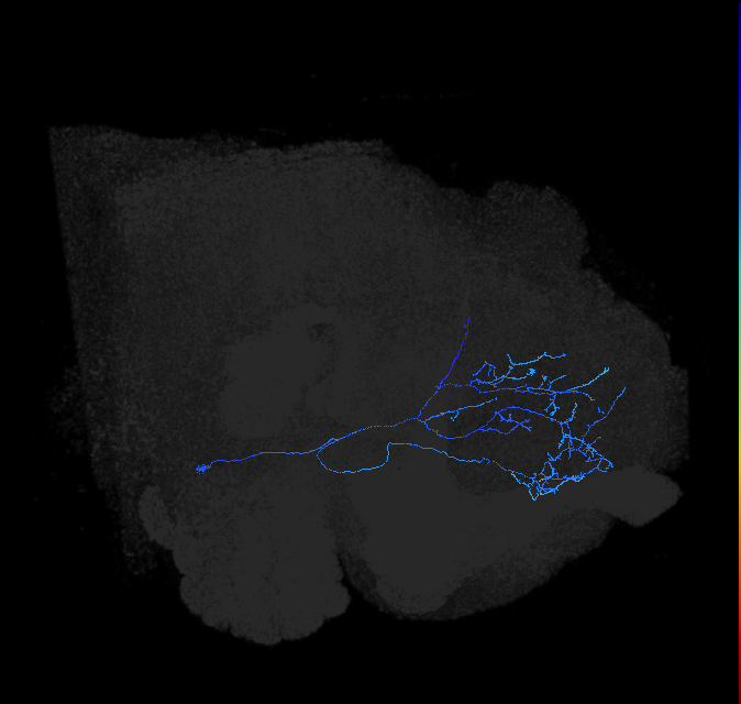 AVL02b_pct_R