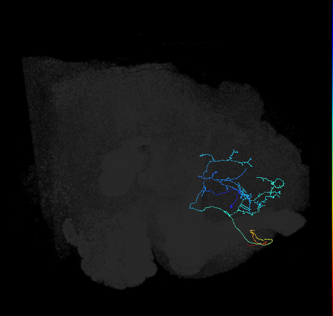 ADL03og_pct(aSP27a)_R