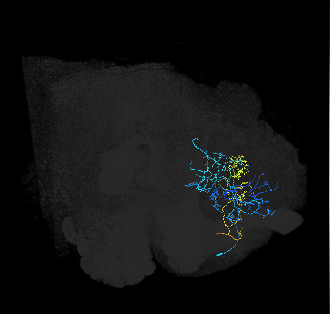 ADL27g_pct_R