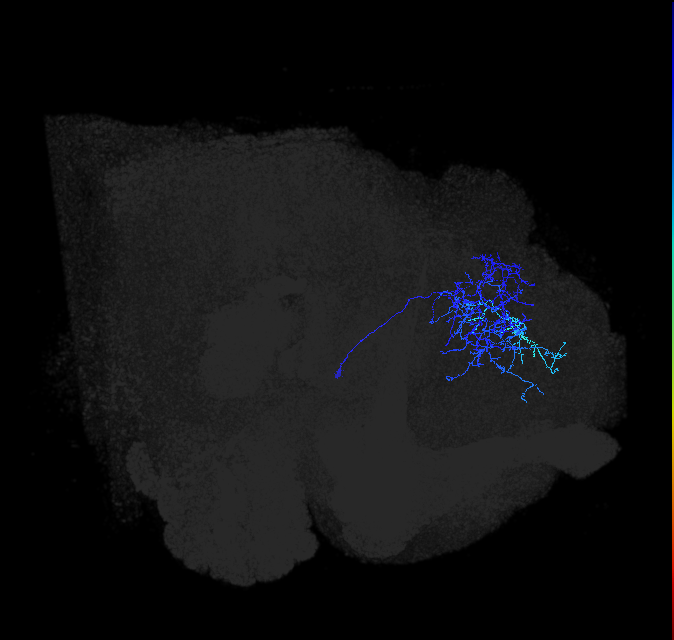 ADL24oc_pct_R