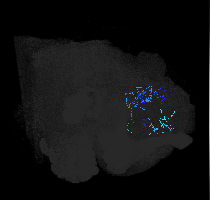 ADL03k_b_pct_R