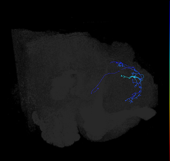 ADL10c_pct_R