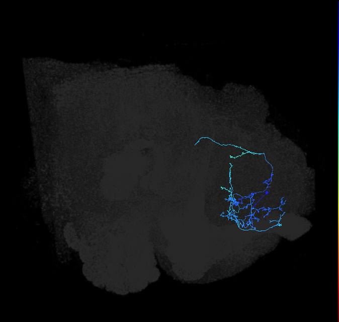 ADL18k_pct_R