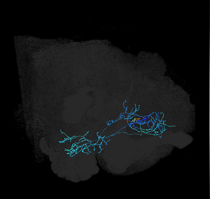 ADL03f_pct_R