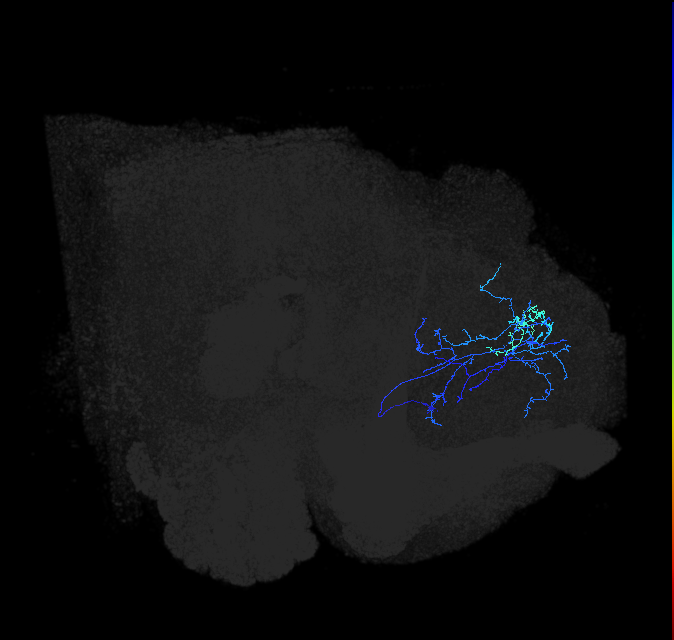 ADL16ob_pct_R