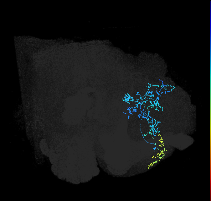 ADL12v_pct(aDN )_R
