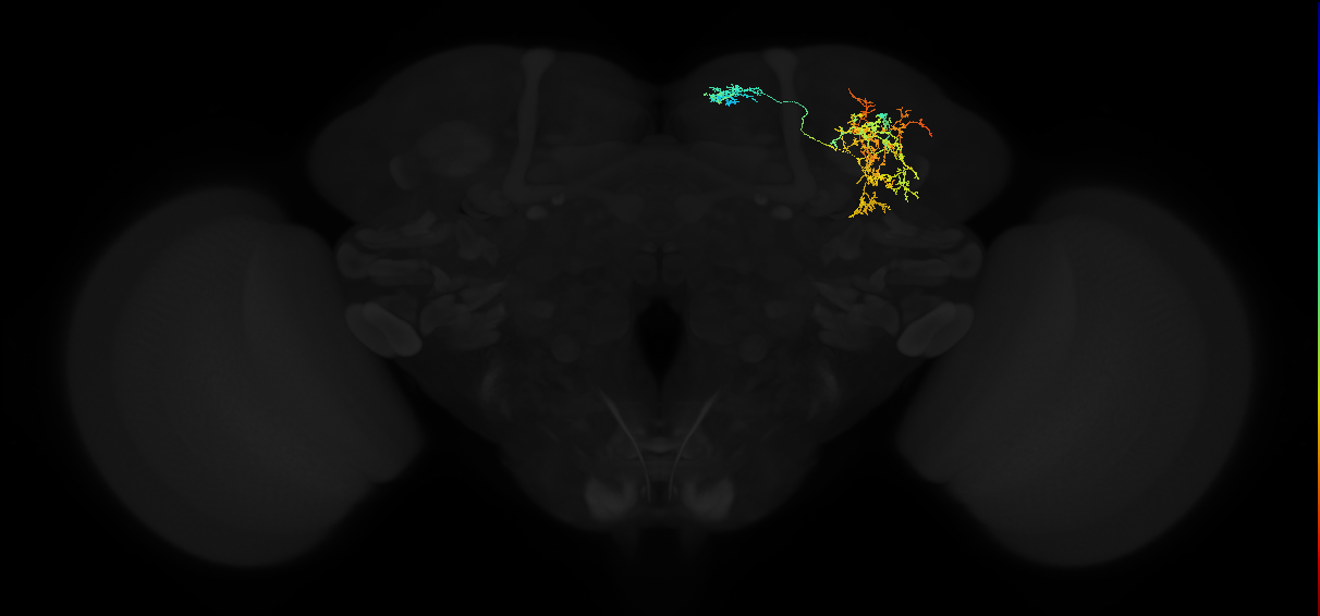 ADL12v_pct(aDN )_R