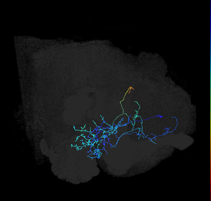 ADL21d_pct_R