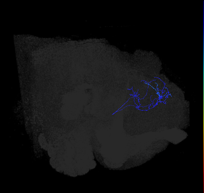 ADL05r_a_pct_R