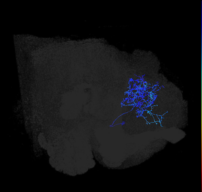 ADL16e_pct_R