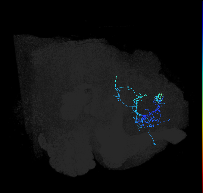 ADL14c_pct_R
