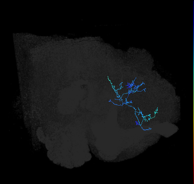 ADL18h_pct_R