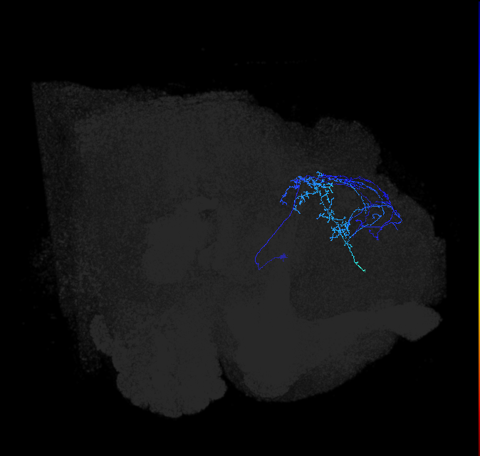 ADL10b_pct_R