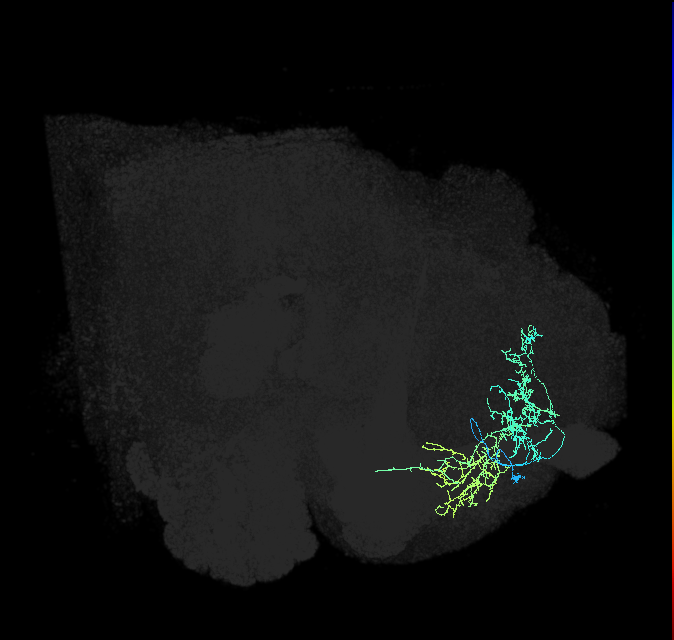 ADL14b_pct_R