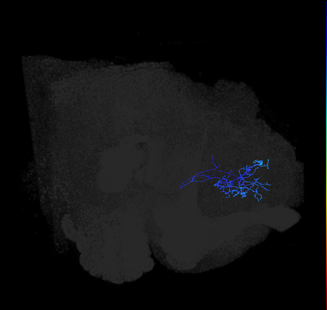 ADL01t_pct_R
