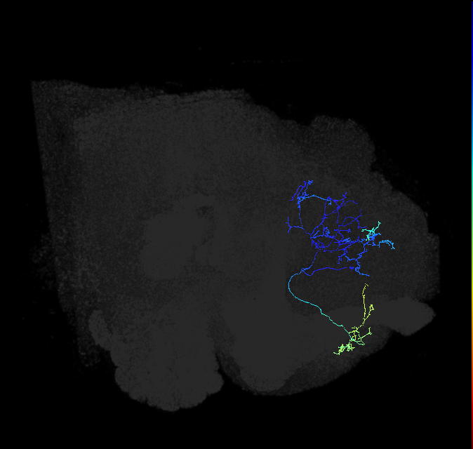 ADL15q_pct_R