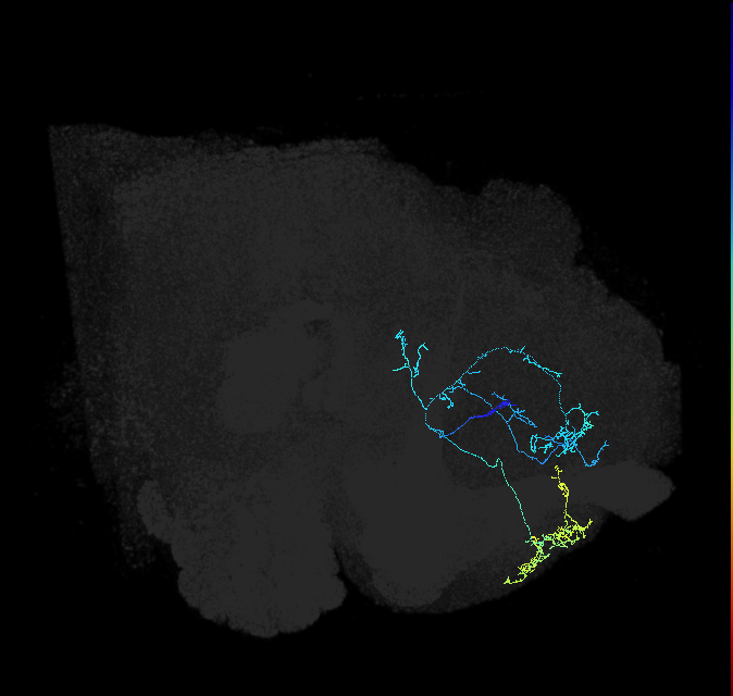 ADL02d_pct_R