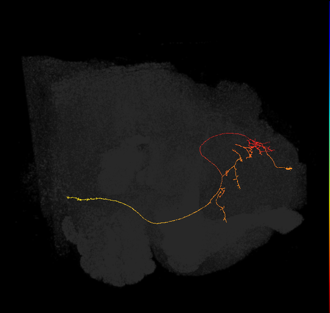 (PDM12)_L
