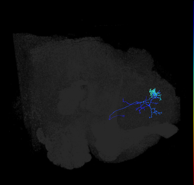 ADL16j_pct_R