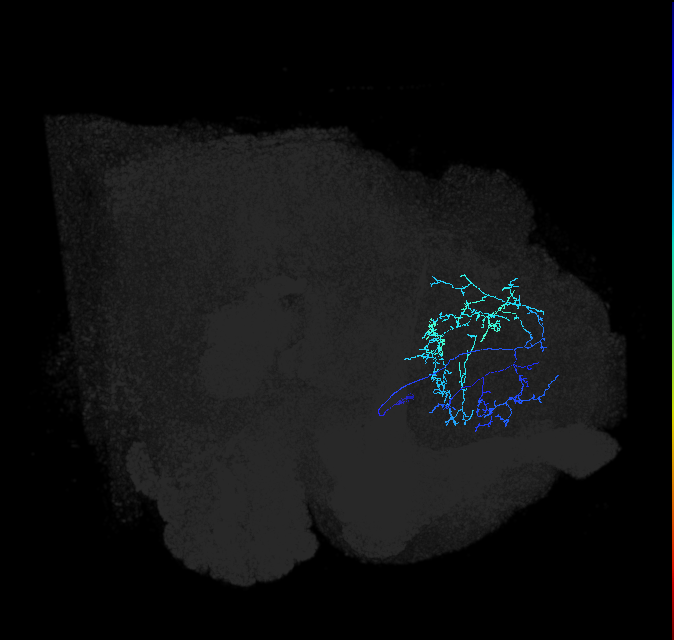 ADL16a_pct_R