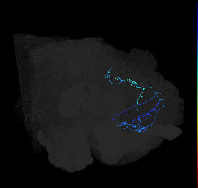 ADL16t_pct_R