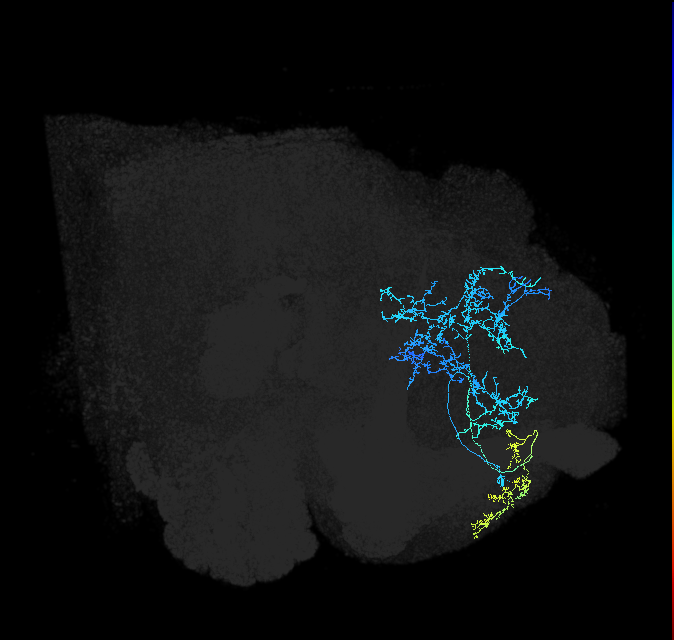 ADL12v_pct(aDN )_R